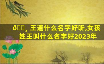 🌸 王道什么名字好听,女孩姓王叫什么名字好2023年